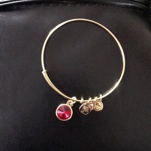 Alex and Ani January Birthstone bracelet